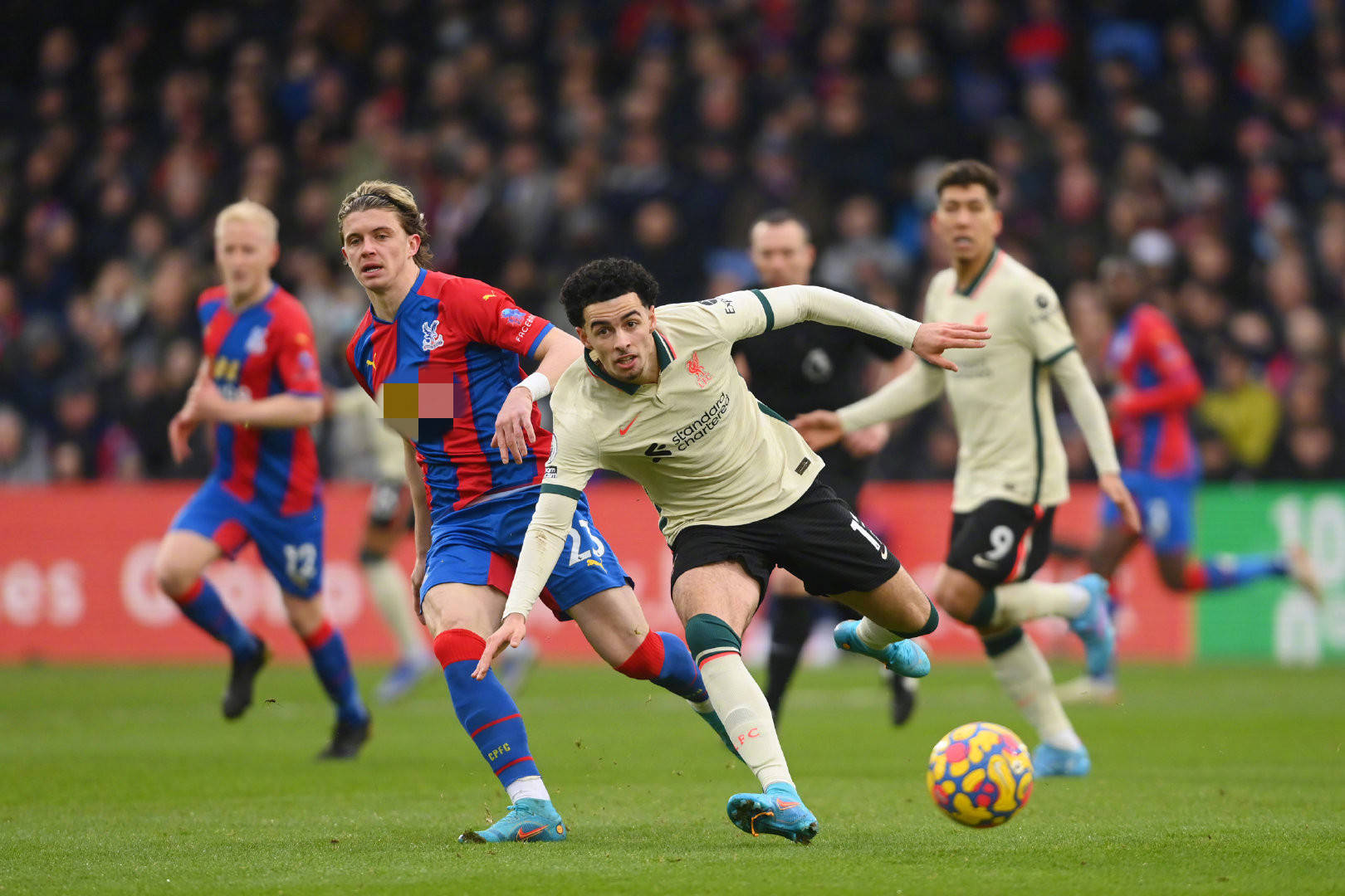 定期邀请国 定期邀请国